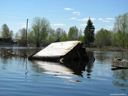 Отзывы подгорное томск