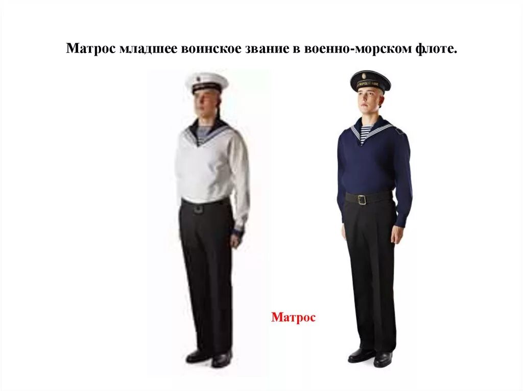 Состав матросов. Матрос звание. Младший матрос.