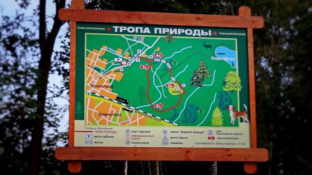 Новая сказочная эко тропа в ленобласти. Экотропа природы Зеленогорск. Тропа здоровья Зеленогорск. Экологическая тропа Зеленогорск. Эко тропа Поляна сказок Зеленогорск.