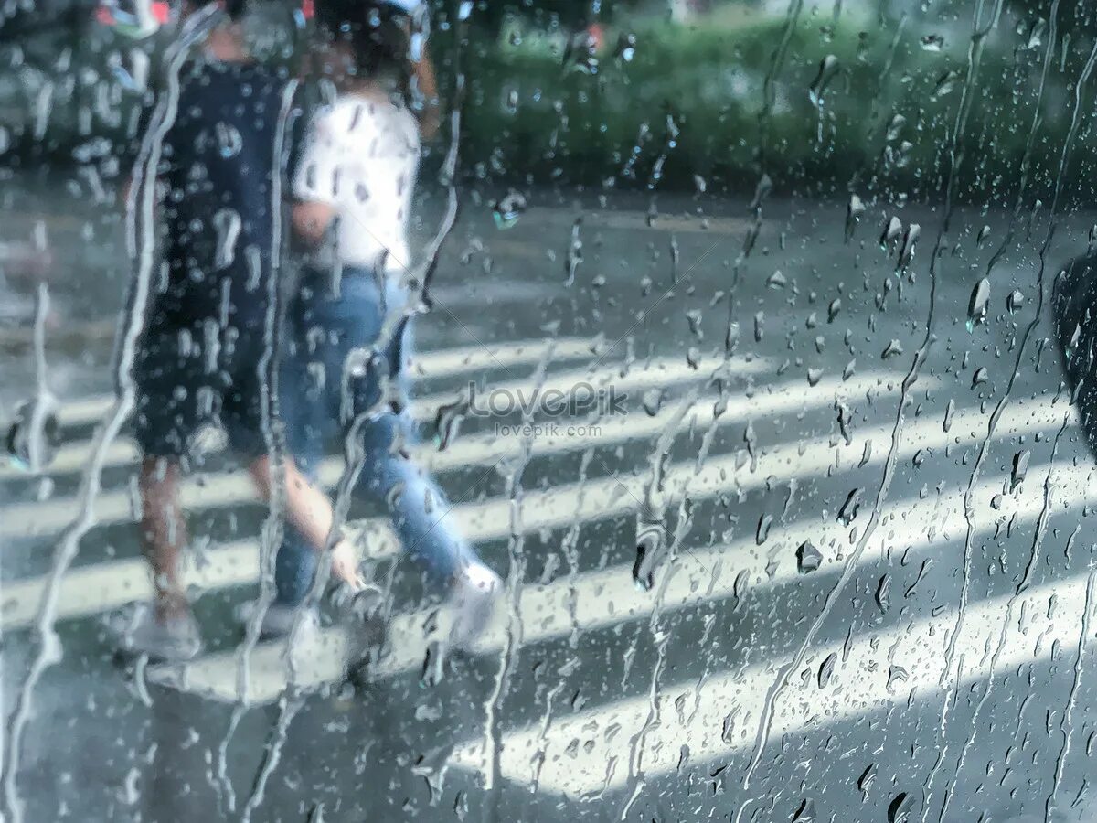 Можно ли гулять в дождь. День прогулок под дождем. Прогулка под дождём. Гулять под дождем. День прогулокплд дождем.