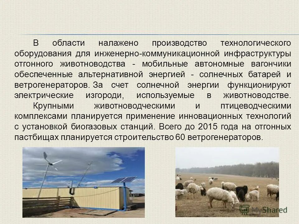 Отгонное животноводство крс. Зональная специализация животноводства. Овцеводство в дагестане. Отара овец с чабаном в степи хакасия. Пастбищные ландшафты.