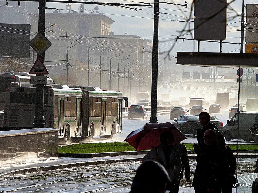 Дождь начнется через. Дождь в городе. Начинается дождь. Дождливый человек. Дождь фото.