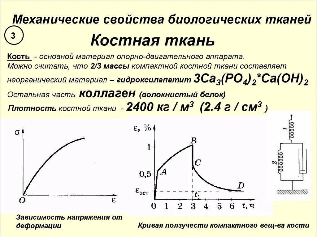 Механическое свойство сред. Механические свойства БИОТ. Механические свойства биотканей. Механические свойства биологических тканей костной. Механические свойства биологических тканей физика.