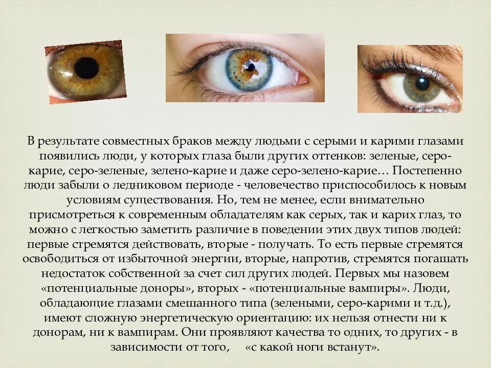 Значение правого глаза. Серо карие глаза характер у женщин. Характер людей с зелеными глазами. Люди с карими глазами. Цвет глаз характеристика.