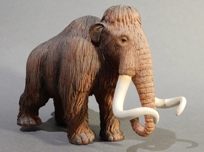 Мини мамонт ютуб. Мамонт Mojo. Фигурка Mojo Prehistoric & extinct мамонт 387049. Мягкая игрушка мамонт. Мамонты и динозавры.