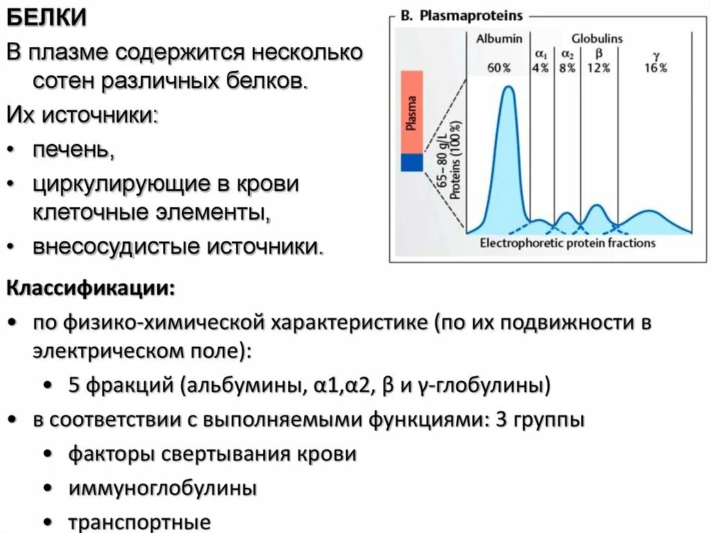 Содержание белка в плазме. Белки плазмы крови классификация. Белки плазмы крови и их роль. Белки плазмы крови и их функции. Источники белков плазмы крови.