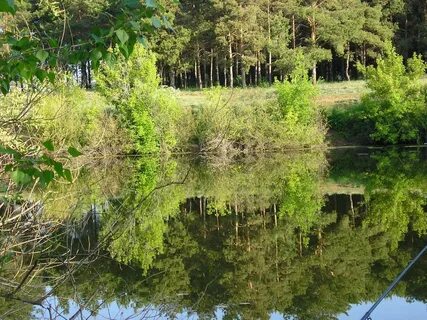 Быковский приморск