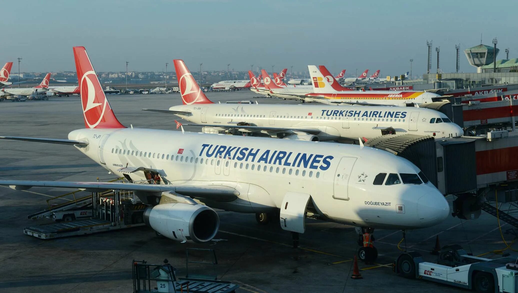 Авиакомпания Туркиш Эйрлайнс. Самолет Туркиш Эйрлайнс. Turkish Airlines авиакомпании Турции. Самолеты авиакомпании Туркиш Эйрлайнс. Авиарейсы в турцию