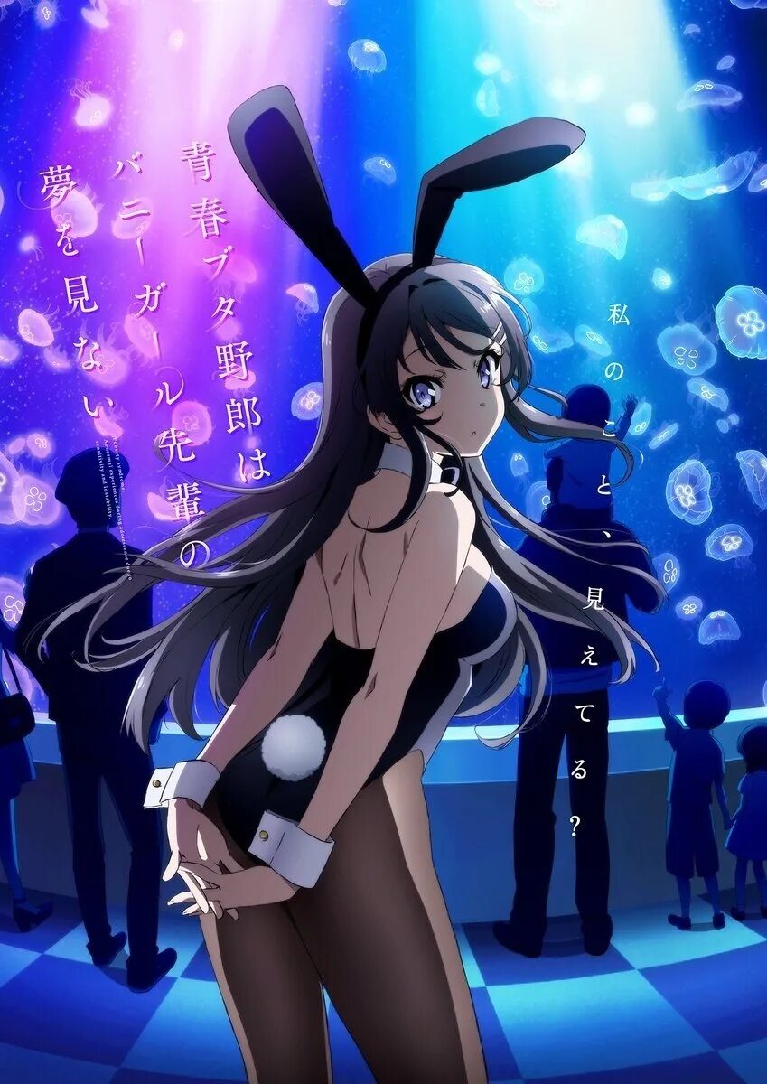 Аниме seishun buta yarou wa bunny прохвост. Глупый свин не понимает девушки. Аниме seishun buta yarou wa bunny. Seishun buta yarou wa bunny koga. Аниме seishun buta yarou wa bunny.