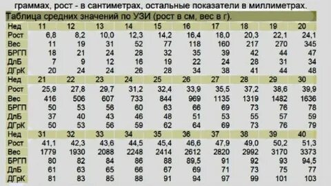 Вес ребенка 12 недель