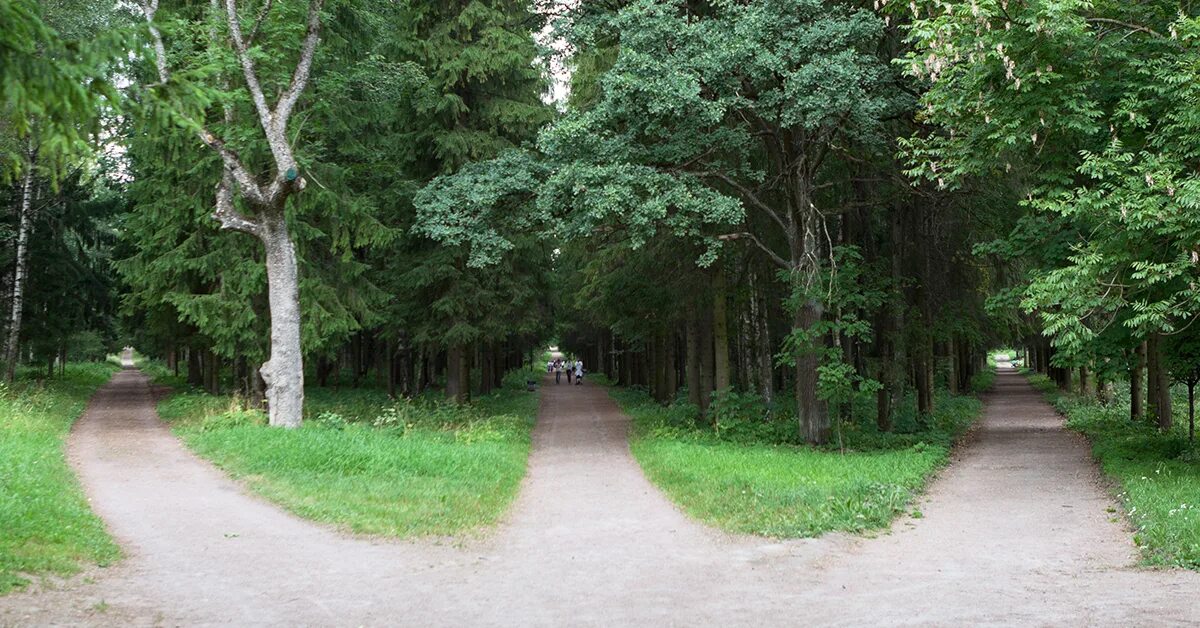 в стороне 3 лесной. поселок маяк александровский район. в стороне 3 лесной. локнянская поляна в псковской области. развилка 3 дороги в лесу.