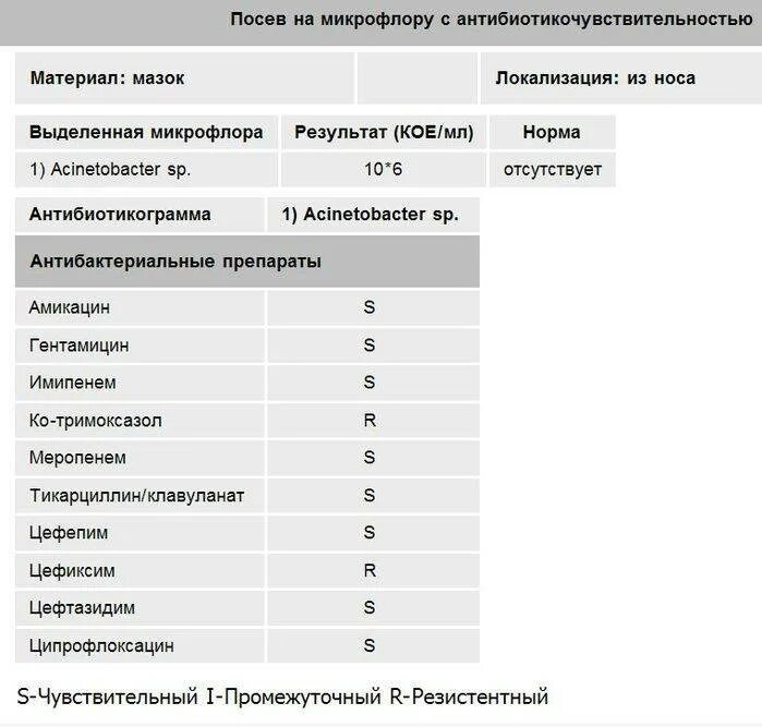 Сколько делается бакпосев