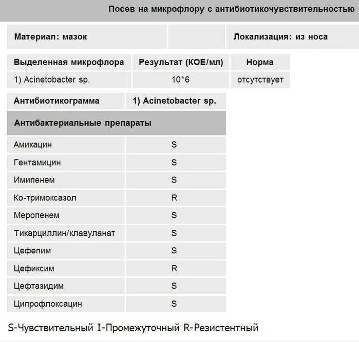 Посев мочи результат расшифровка. Бак посев мочи на микрофлору норма. Расшифровка анализа бак посев мочи на микрофлору. Бак посев мочи норма расшифровка анализа мочи. Анализ на бак посев норма.