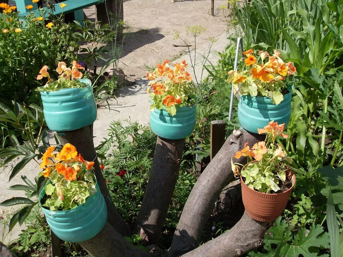 вазоны для цветов. кашпо из стеклянных бутылок. необычные горшки для цветов. пластиковые бутылки для цветов. клумба из баклажек для цветов.
