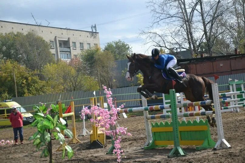Конный клуб арагон хабаровск. Конный клуб аванпост в можайске. Кск хабаровск. Конный клуб мустанг. Конный клуб истра.
