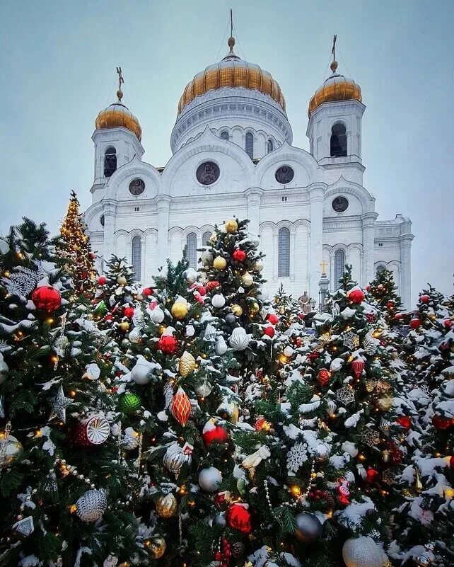 Новогодние украшения у храма христа спасителя фото Перед храмом Христа Спасителя появилась аллея из гнутых новогодних ёлок Моспрогу
