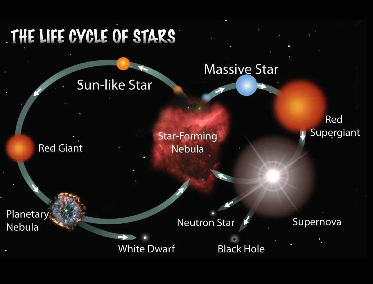Star Life Cycle. Эволюция звезд. Цикл жизни сверхмассивных звёзд. Цикл звезды космос.
