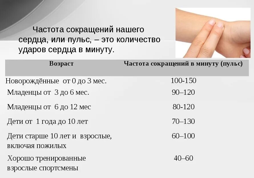Пульс частота норма по возрасту. Частота сердечных сокращений норма у взрослых. пульс 87 ударов в минуту это нормально у подростка. частота сердечных сокращений в норме в герцах. пульс 90 ударов в минуту в состоянии покоя при нормальном давлении.