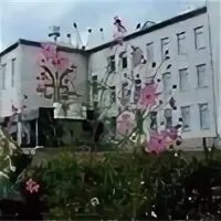 Арская гимназия 5