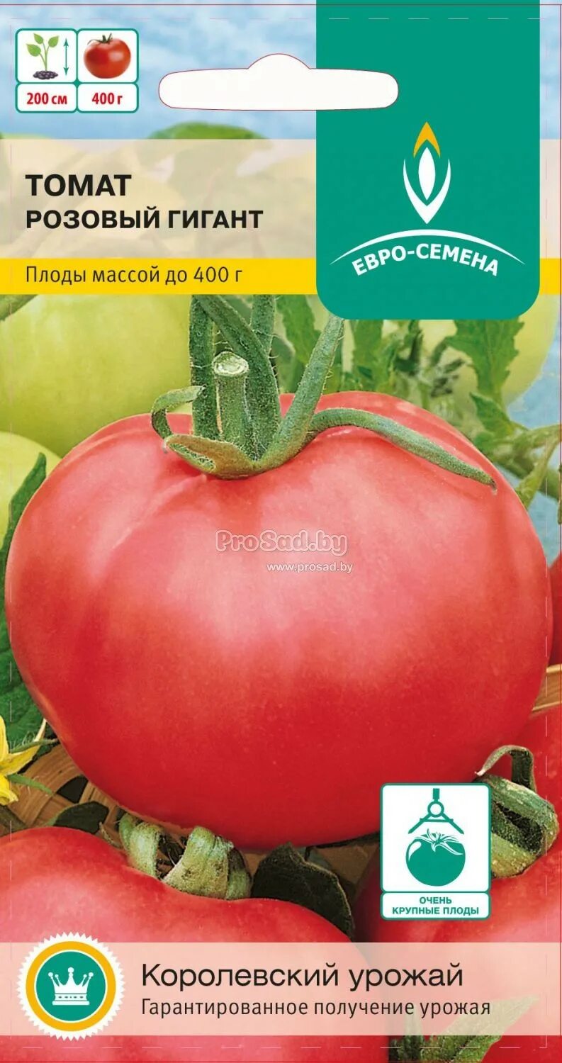 томат розовый гигант куст. гавриш томат розовый гигант. томат розовый гигант (0,1г). томат розовый гигант семена алтая. семена томат розовый гигант.