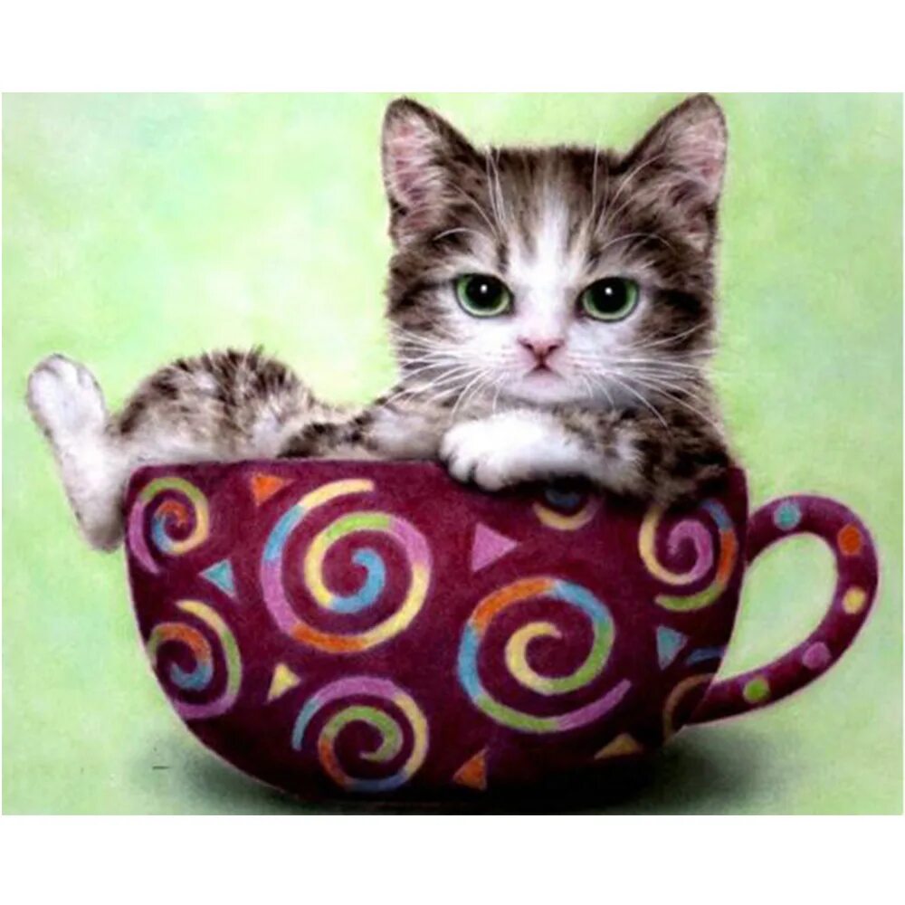 котик в кружечке. котенок в кружке. котенок в чашечке. котенок в кружке. котик в кружечке.