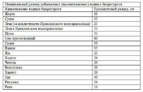 Астрахань размеры рыбы вылова