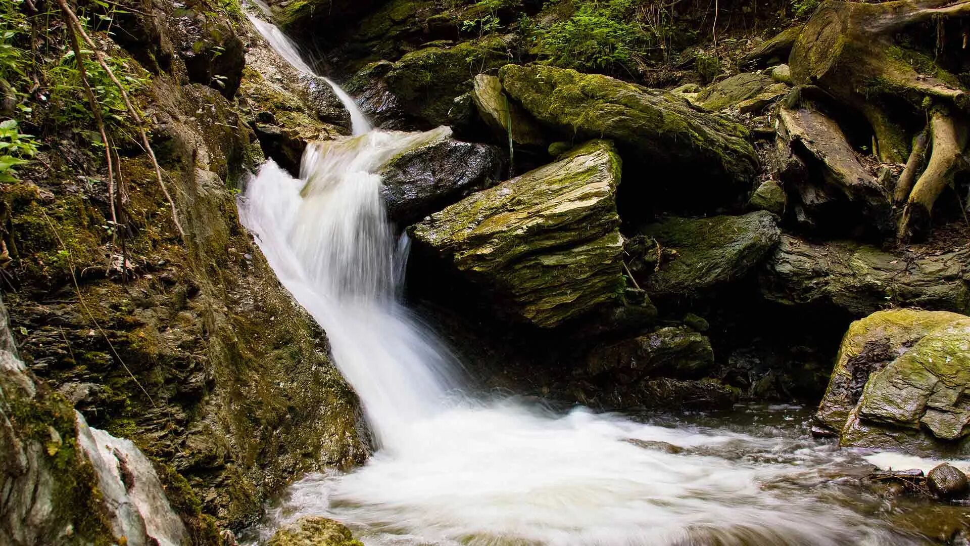 водий питак. водопад. природа вода водопад.