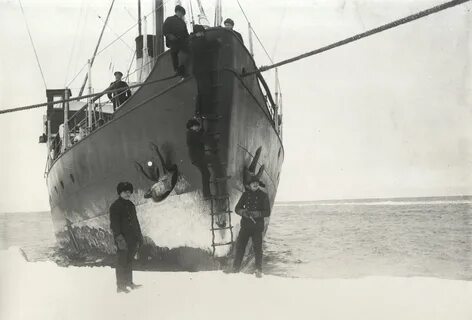 Северные морские экспедиции