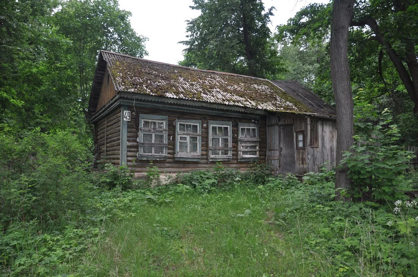 Кругом была глушь. Старые деревянные дома в лесу. Старый дом в лесу. Старый домик в лесу. Заброшенные Деревенские дома.