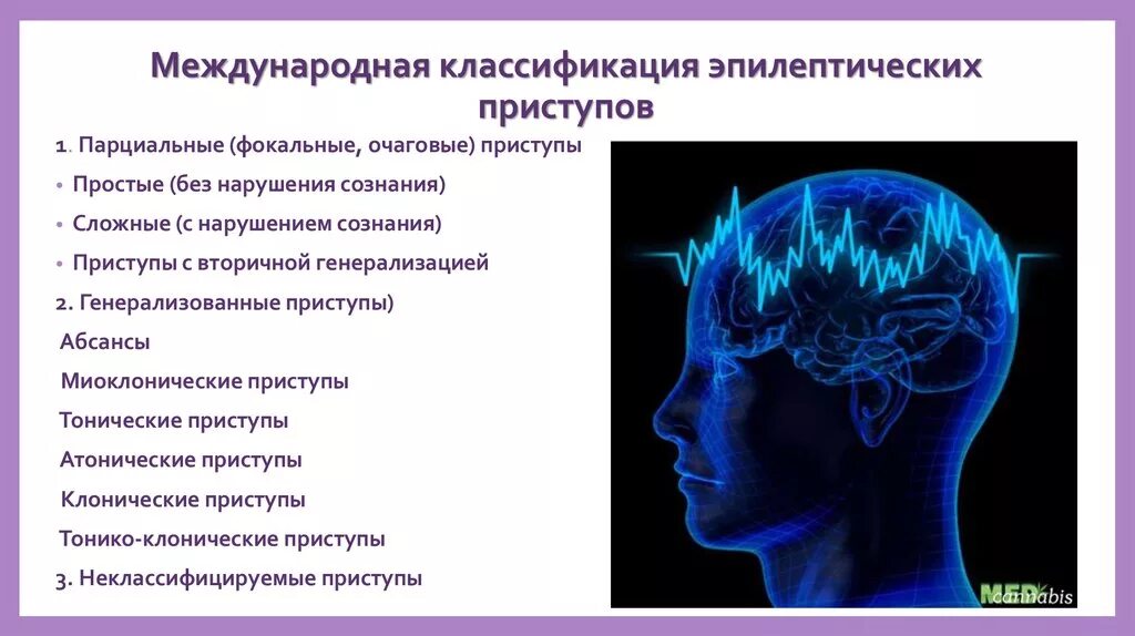 Фокальные эпилептические припадки. Простые парциальные припадки. Простые фокальные припадки. Парциальные фокальные припадки.