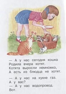 А у нас вчера кошка родила