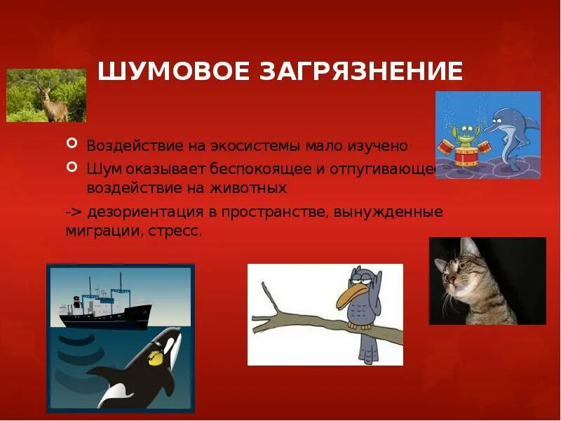 Влияние шума на животных. Шумовое загрязнение. шумовое загрязнение влияние. воздействие шума на животных. звуковое загрязнение.