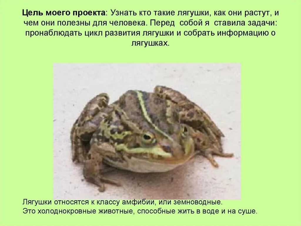 Проект про лягушку 3 класс Гурина И. "Как появляется лягушка" Познавательная литература купить книгу IS