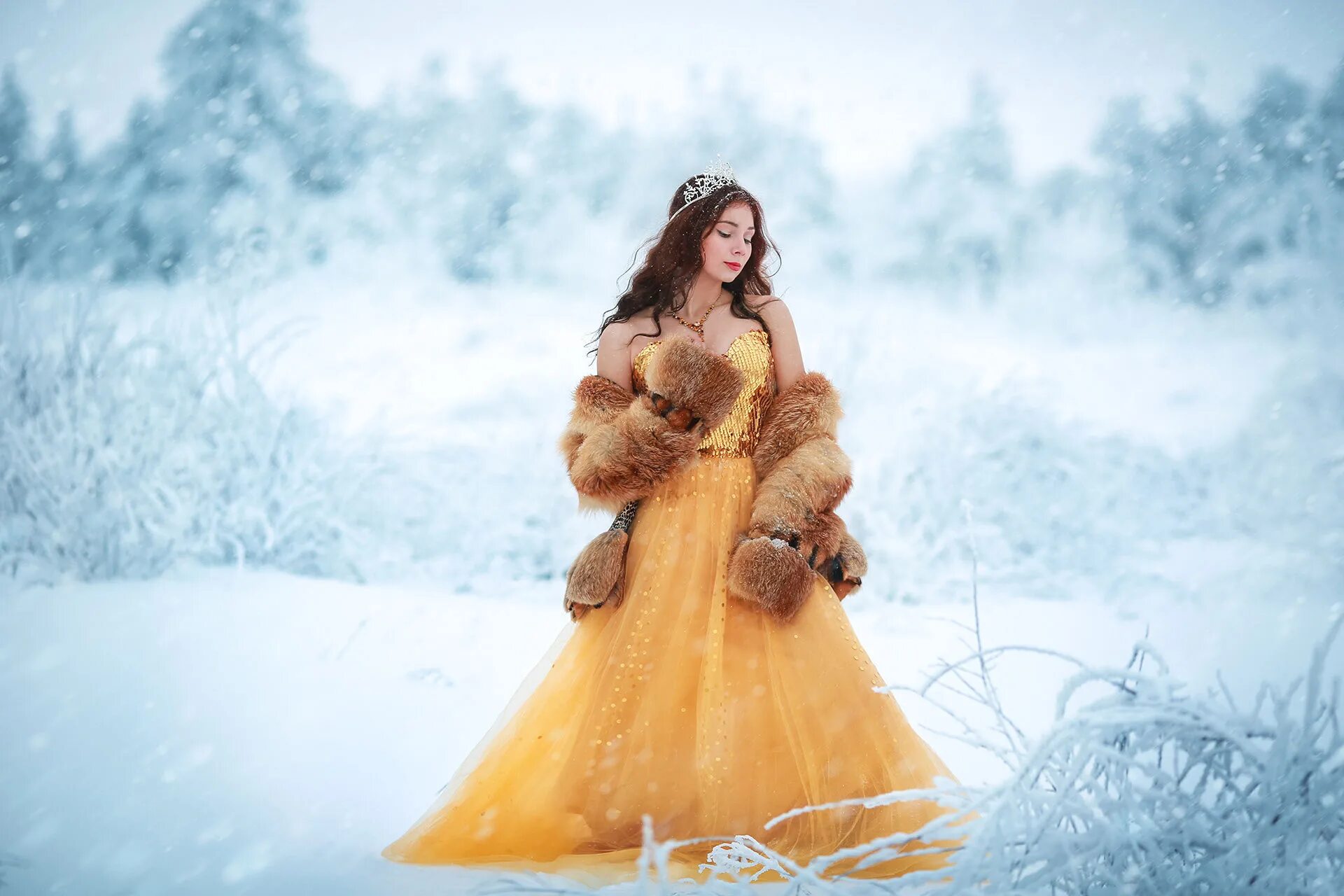 Snow model
