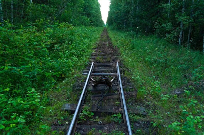 Железно кирово чепецк. Шпалы УЖД. Узкоколейка Кирово-Чепецк. Рельсы УЖД. Кронштадтская узкоколейка.