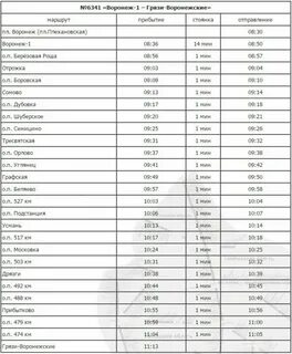 Электричка усмань березовая роща