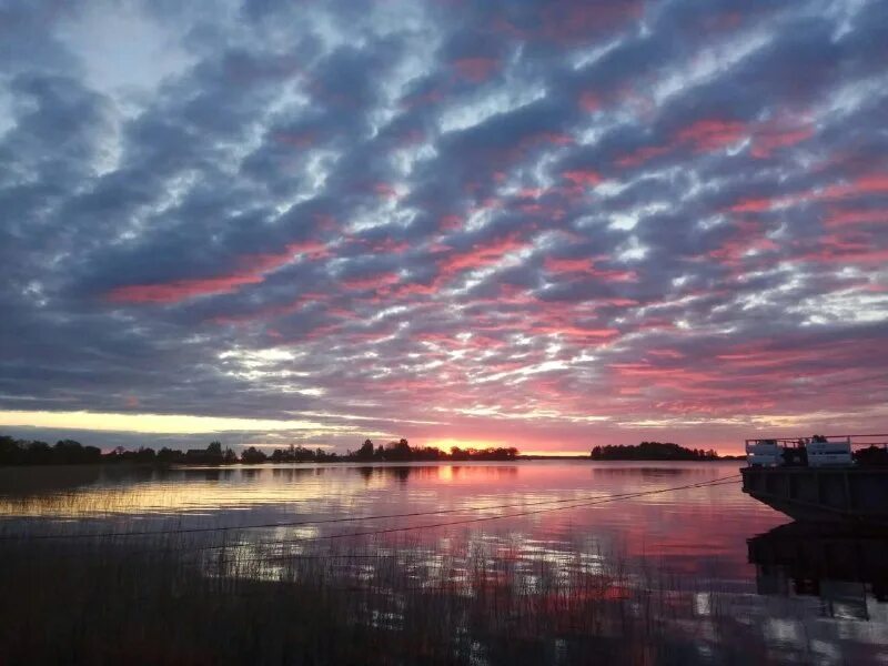 самолет атр выкатывание за пределы впп. закроют ли небо. закроют ли небо. звёзды над головой пулковская обсерватория. закроют ли небо.