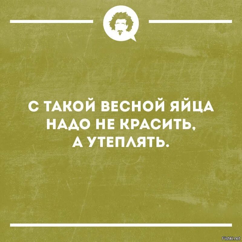 Замужняя подруга мужа. Угарные фразы. Смешная цитата про магистров. Угарные цитаты. Анекдоты про грамотность.