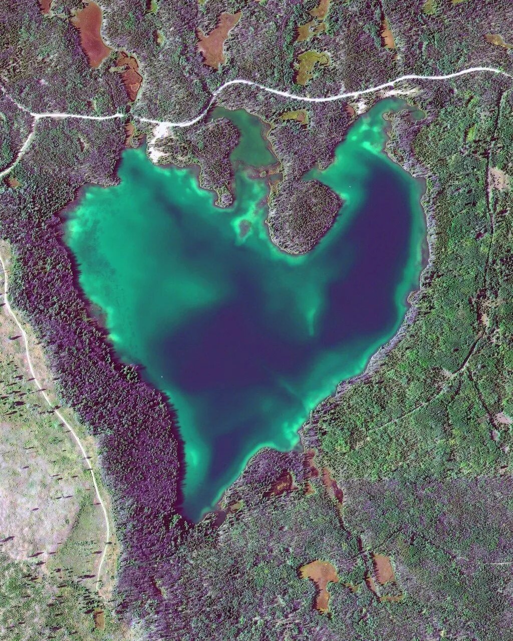 Озеро осиновое ульяновск фото. Координаты озера в виде сердца. Координаты озера в виде сердца. Озеро сердце ульяновск. Озеро сердце, онтарио.