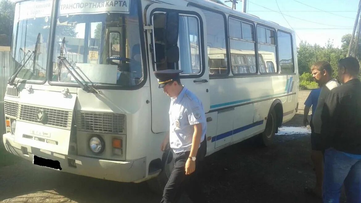 Транспорт оренбурга. 31 автобус оренбург. Общественный транспорт оренбург. Пазик автобус. 31 автобус оренбург.