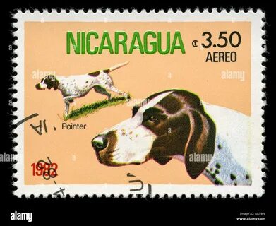 RMRA59F6–Postage. stamp from Nicaragua in the Pedigree Dogs series issued i...