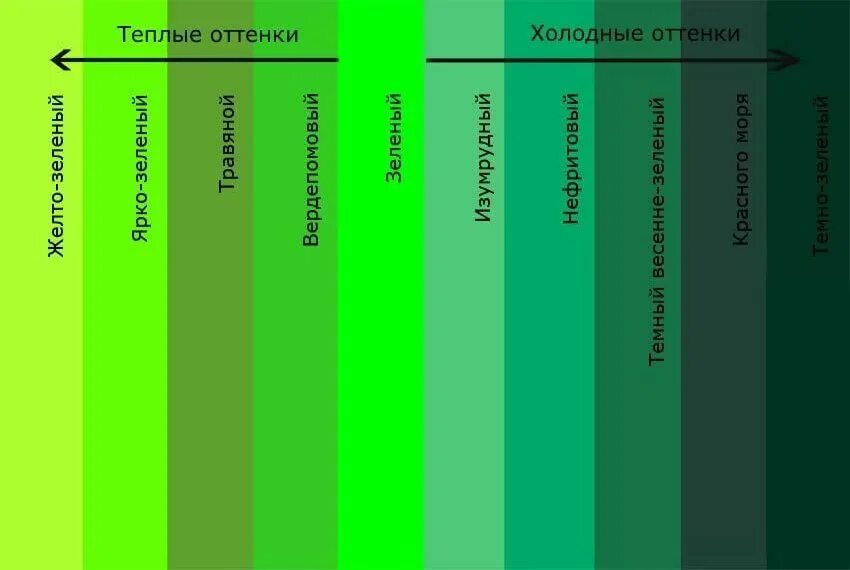 Как получается зеленый цвет. Оттенки зеленого. оттенки зеленого с названиями. оттенки зелёного цвета. градация зеленого цвета.