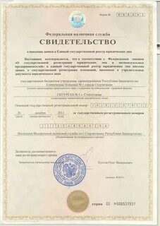 Социальный номер башкортостан что это