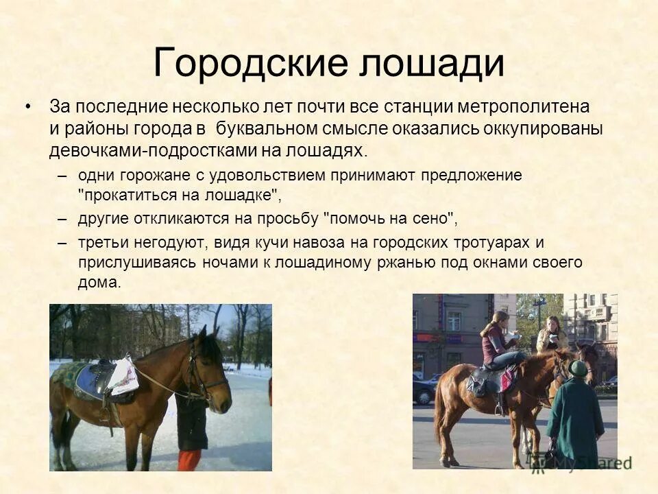 Лимфатические узлы головы лошади. Строение ноги лошади анатомия. Топография статей лошади. Строение ноги лошади. Порода лошадей владимирский рысак.