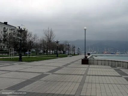 Территория в новороссийске