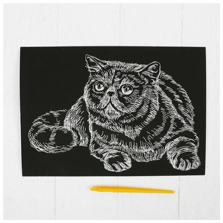 Гравюры с котами. Офорт кот. Кошачьи гравюры. Коты гравюра. Кот гравюра.