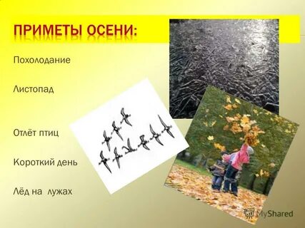 Приметы листопада