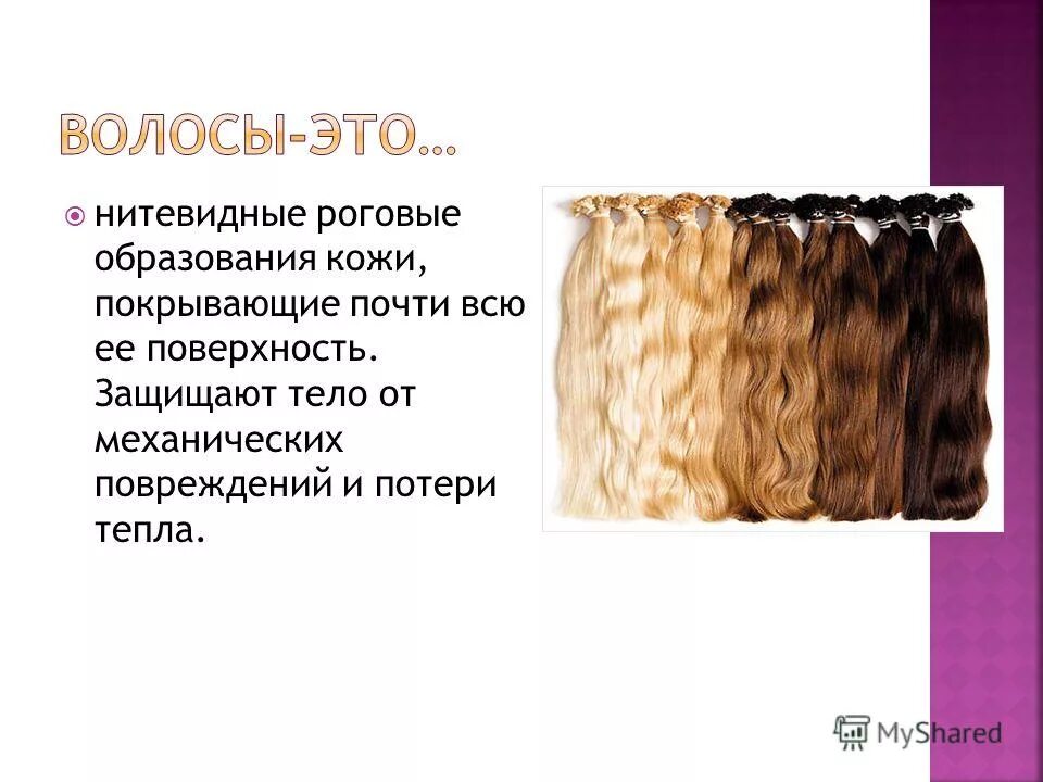 волосы, ногти и зубы – кожные роговые образования. роговые образования у млекопитающих. что относится к роговым образованиям кожи. что относится к роговым образованиям кожи. кожные роговые образования это у человека.