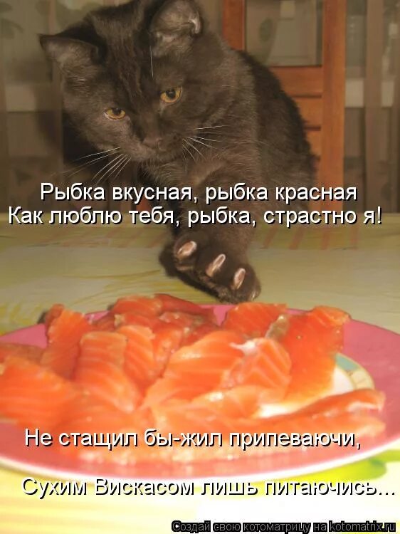 Жить припеваючи