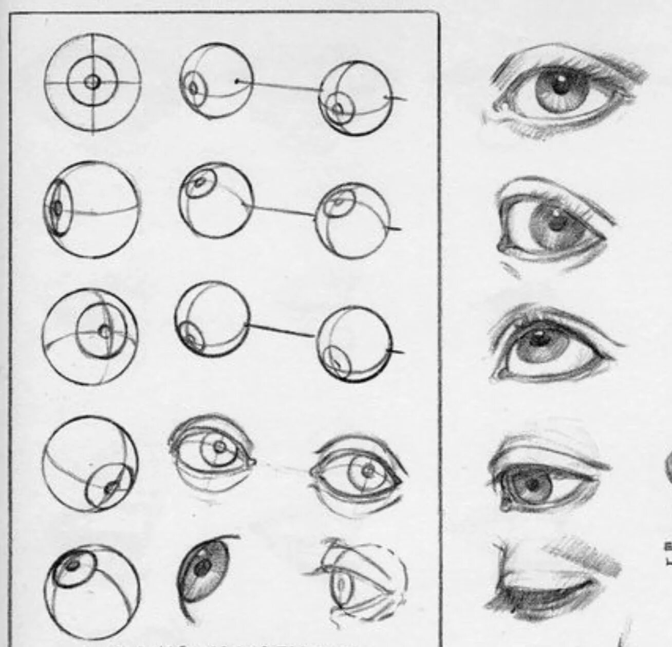 Виды рисунков глаз. Уроки рисования глаз. Рисование глаз в разных ракурсах. Анатомия глаз для рисования. Рисунки глаз карандашом для начинающих.
